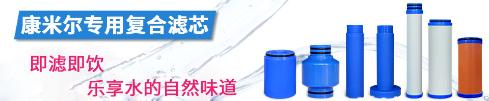 户外净水器 净水壶滤芯